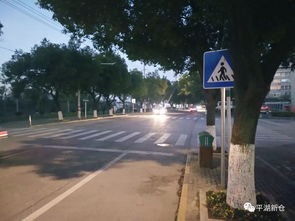 新倉鎮新增一批道路交通安全設施,你發現了嗎